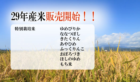 新米販売告知