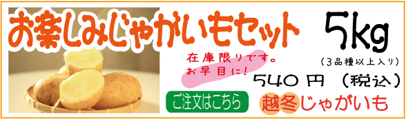 ファームキトラの越冬じゃがいも入荷しました!