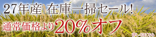 在庫一掃セール