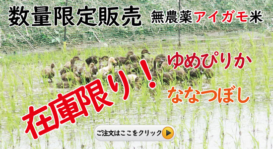 在庫追加販売