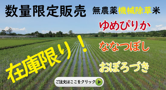 在庫追加販売