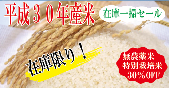 在庫一掃セール30