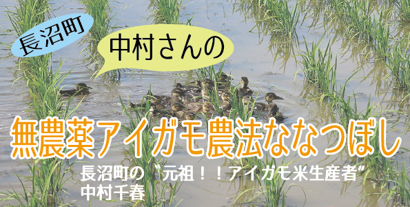 中村さんのななつぼし