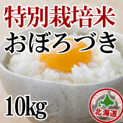 特別栽培米おぼろづき