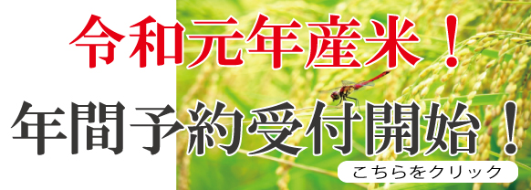 年間予約開始