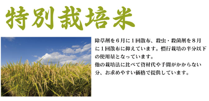 減農薬栽培ゆめぴりか 北海道の無農薬・減農薬米、道産野菜はファームキトラ☆