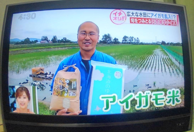 西山さんテレビに出る20200629