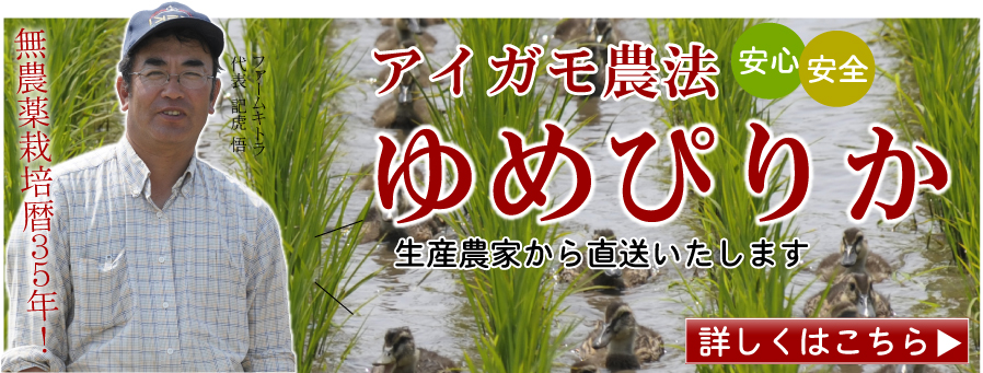 北海道産の無農薬 減農薬のお米を買うならファームキトラ 直接まじりっけのないお米を食べてほしくて始め た産地直送 安全なお米を追究して生まれたアイガモ米 あるべきお米の姿を追究して苦節35年 安心 安全なお米を皆様にお届けします