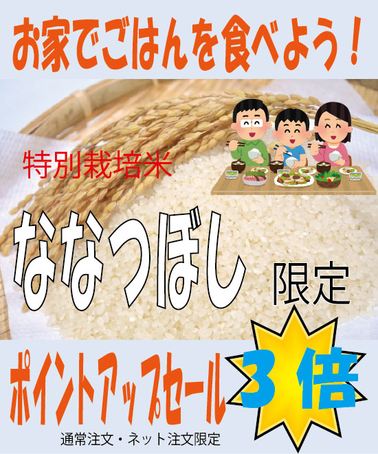 ななつぼしセール