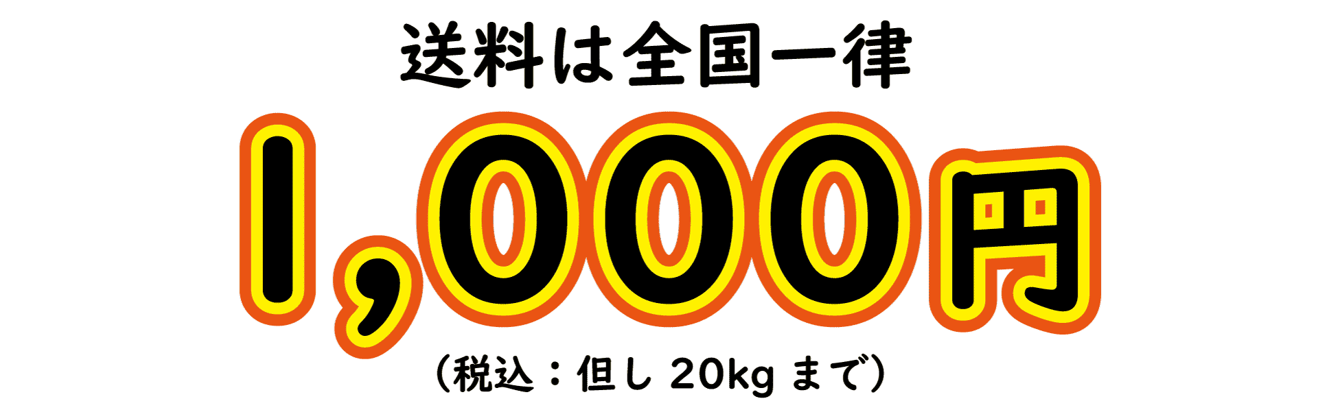 送料1000円