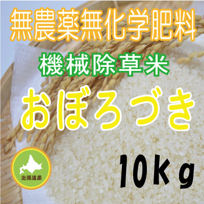 (16)令和4年産米 無農薬無化学肥料栽培 おぼろづき5kg ファームキトラ